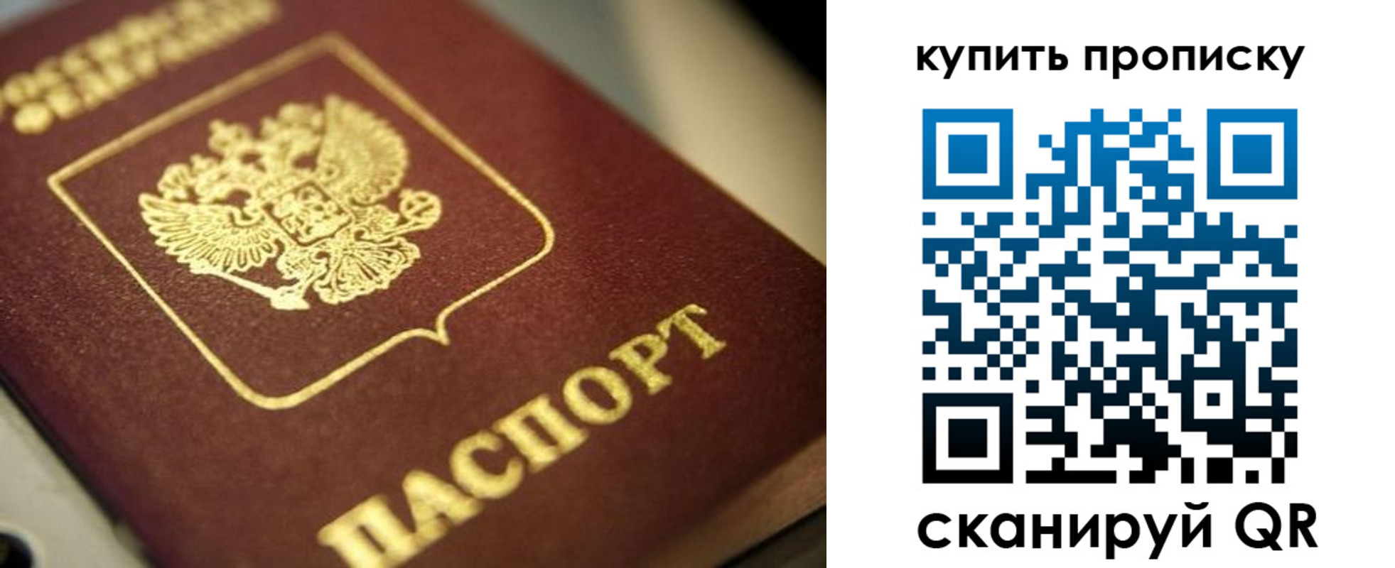 прописка поиск в Сертолово